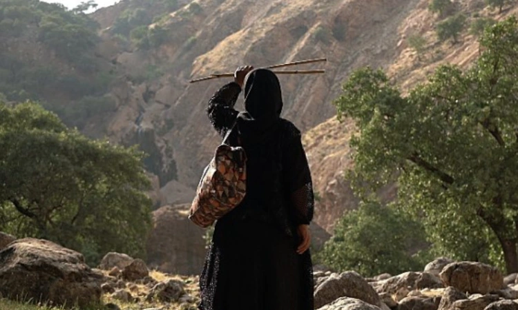 activitats culturals 25N 