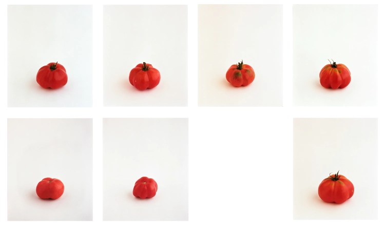 can baste programacio 