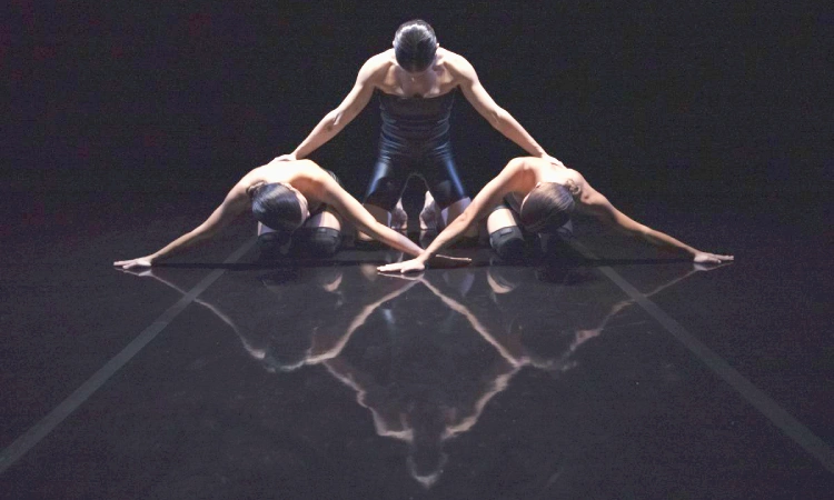 Desafiar les percepcions tradicionals del cos a través de la dansa