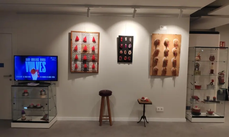 La metgessa i artista que reivindica la vulva: "És vista com una cosa lletja que cal amagar"