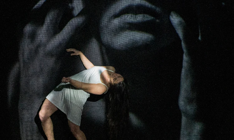 performancevanishingact